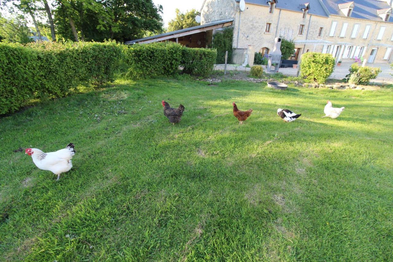 La Ferme Aux Chats Formigny 외부 사진